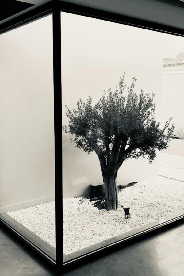 8bdd6bc7-612a-42c2-bee6-4e06663d74d2